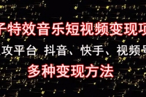 《粒子特效音乐短视频变现项目》主攻平台 抖音、快手、视频号 多种变现方法-冒泡网