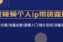 短视频个人ip带货变现：爆款文案/流量运营/直播入门/镜头变现/流量商业-冒泡网