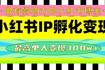 某收费培训-小红书IP孵化变现：做有影响力的小红书博主，最高单人变现300w+-冒泡网