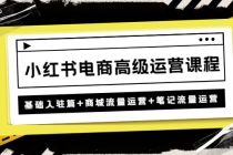 小红书电商高级运营课程：基础入驻篇+商城流量运营+笔记流量运营-冒泡网