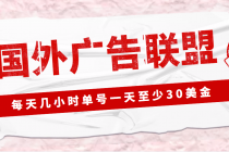 外面收费1980最新国外LEAD广告联盟搬砖项目，单号一天至少30美金(详细教程)-冒泡网