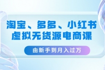 淘宝、多多、小红书-虚拟无货源电商课：由新手到月入过万-冒泡网