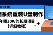 电脑系统重装U盘制作，年赚30W的长期项目【详细教程】-冒泡网