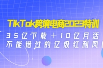 TikTok跨境电商2023特训：35亿下载＋10亿月活，不能错过的亿级红利风口-冒泡网