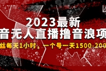 2023最新抖音无人直播撸音浪项目，0粉丝每天1小时，一个号一天1500-2000元-冒泡网