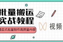 视频号批量搬运实战赚钱教程，傻瓜式批量制作高质量内容【附视频教程+PPT】-冒泡网