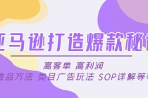 亚马逊打造爆款秘诀：高客单 高利润 推品方法 类目广告玩法 SOP详解等等-冒泡网