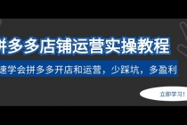 拼多多店铺运营实操教程：快速学会拼多多开店和运营，少踩坑，多盈利-冒泡网