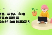 视频号·带货Puls班，视频号底层逻辑，起号自然流鱼塘等玩法-冒泡网