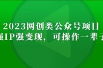 2023网创类公众号月入过万项目，强IP强变现，可操作一辈子-冒泡网