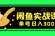 花599买的闲鱼项目：2023最新闲鱼实战课，单号日入300+-冒泡网