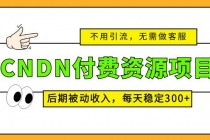 CNDN付费资源项目，不用引流，无需做客服，后期被动收入，每天稳定300+-冒泡网