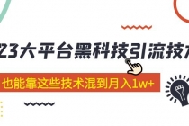 价值4899的2023大平台黑科技引流技术 小白也能靠这些技术混到月入1w+29节课-冒泡网