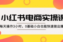 小红书·电商实操课：每天操作3小时，0基础小白也能快速做出爆款！-冒泡网