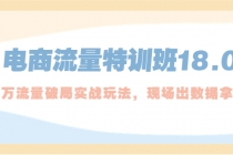 电商流量特训班18.0，直引万流量破局实操玩法，现场出数据拿结果-冒泡网