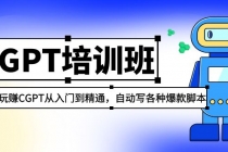 2023最新CGPT培训班：玩赚CGPT从入门到精通 自动写各种爆款脚本(3月23更新)-冒泡网