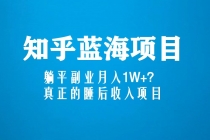 知乎蓝海玩法，躺平副业月入1W+，真正的睡后收入项目-冒泡网