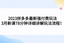 2023拼多多最新强付费玩法，3月新课​78分钟详细讲解玩法流程！-冒泡网