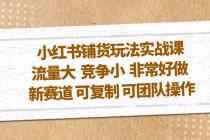 小红书铺货玩法实战课，流量大 竞争小 非常好做 新赛道 可复制 可团队操作-冒泡网