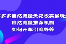 拼多多自然流量天花板实操玩法：自然流量推荐机制，如何开车引流等等-冒泡网