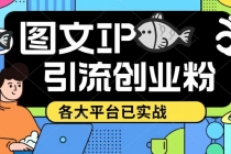 价值1688的ks dy 小红书图文ip引流实操课，日引50-100！各大平台已经实战-冒泡网