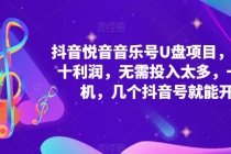 抖音音乐号U盘项目 一单几十利润 无需投入太多 一台手机 几个抖音号就开始-冒泡网