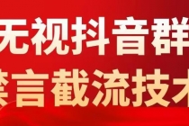 抖音粉丝群无视禁言截流技术，抖音黑科技，直接引流，0封号-冒泡网