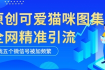 黑科技纯原创可爱猫咪图片，全网精准引流，实操5个VX号被加频繁-冒泡网