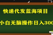 2023最新蓝海快递代发项目，小白零成本照抄也能日入300+-冒泡网