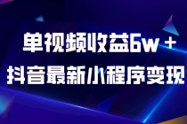 抖音最新小程序变现项目，单视频收益6w＋-冒泡网