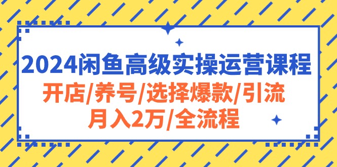 2024闲鱼高级实操运营课程：开店/养号/选择爆款/引流/月入2万/全流程-冒泡网