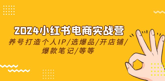 2024小红书电商实战营，养号打造IP/选爆品/开店铺/爆款笔记/等等-冒泡网