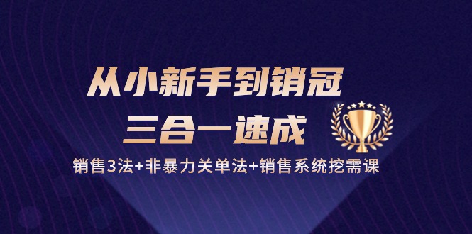 从小新手到销冠 三合一速成：销售3法+非暴力关单法+销售系统挖需课 (27节)-冒泡网