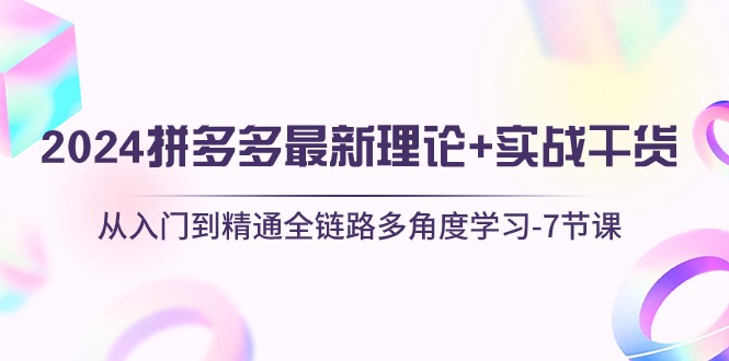 2024拼多多 最新理论+实战干货，从入门到精通全链路多角度学习-7节课-冒泡网