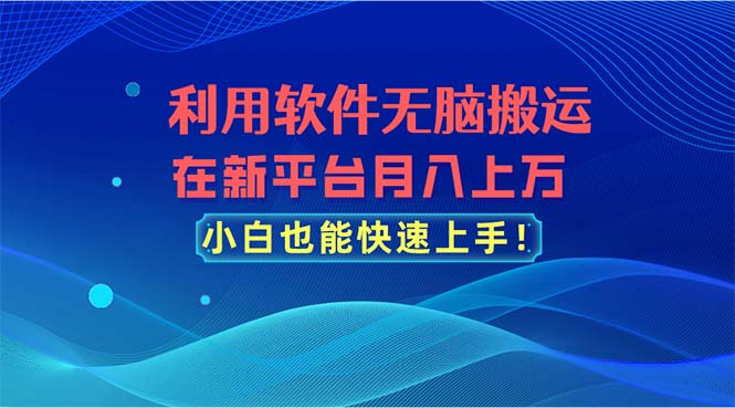 利用软件无脑搬运，在新平台月入上万，小白也能快速上手-冒泡网