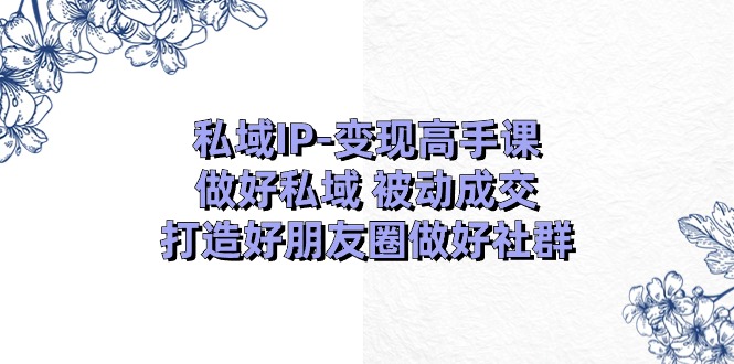 私域IP-变现高手课：做好私域 被动成交，打造好朋友圈做好社群-冒泡网