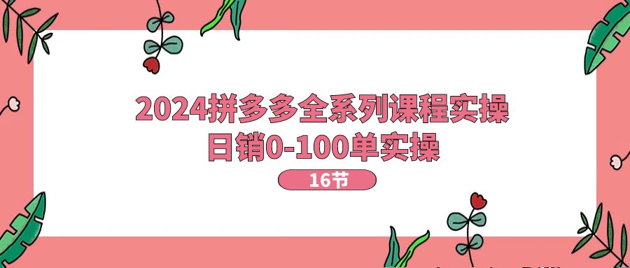 2024拼多多全系列课程实操，日销0-100单实操【16节课】-冒泡网