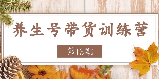 养生号-带货训练营【第13期】收益更稳定的玩法，让你带货收益爆炸-冒泡网