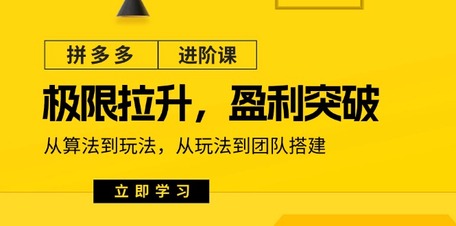 拼多多·进阶课：极限拉升/盈利突破：从算法到玩法 从玩法到团队搭建-18节-冒泡网