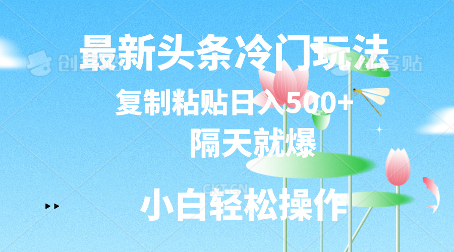 最新头条冷门玩法，隔天就爆，复制粘贴日入500+-冒泡网