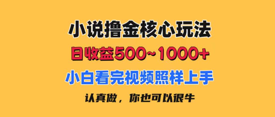 小说撸金核心玩法，日收益500-1000+，小白看完照样上手，0成本有手就行-冒泡网