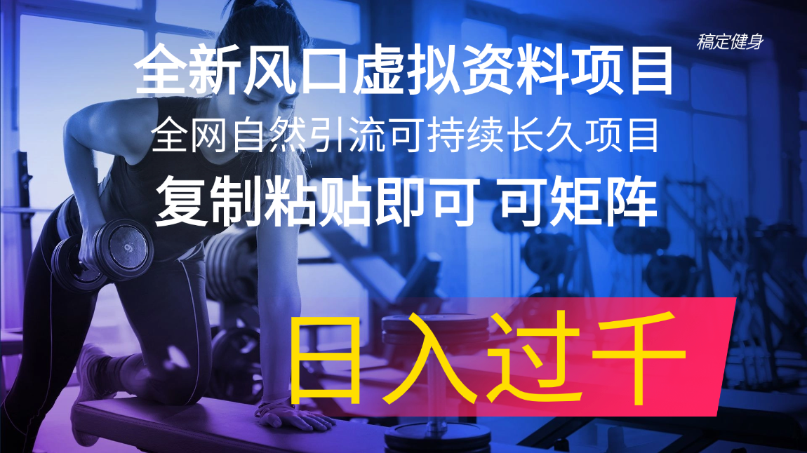 全新风口虚拟资料项目 全网自然引流可持续长久项目 复制粘贴即可可矩阵…-冒泡网